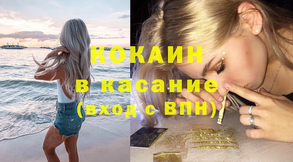 гидра Абаза