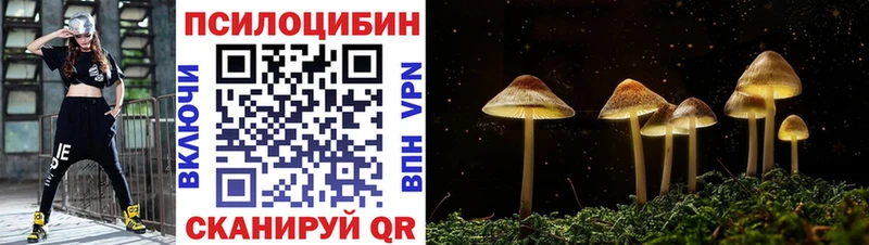 где можно купить наркотик  KRAKEN tor  Галлюциногенные грибы MAGIC MUSHROOMS  Азнакаево 